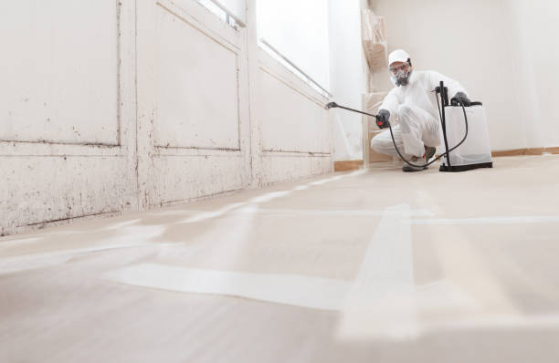 24/7 Emergency Mold Removal experts in Kinzers, PA